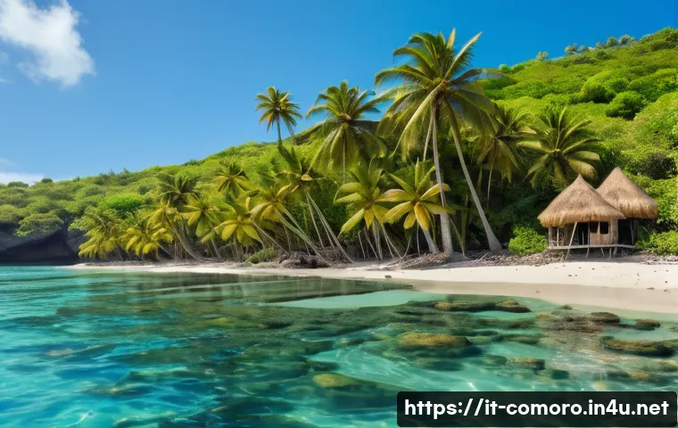 코모로 해안선 보존 프로젝트 - A vibrant coastal scene in the Comoros showcasing local communities actively engaged in environmenta...